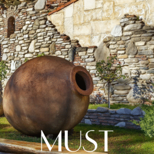 <span class="must-logo-text">MUST</span> Buy!